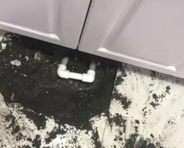 朝天查漏水哪家好